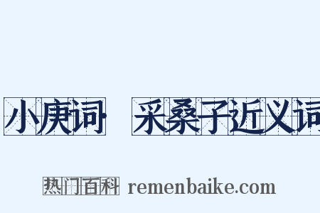 小庚词·采桑子近义词是什么意思的图片